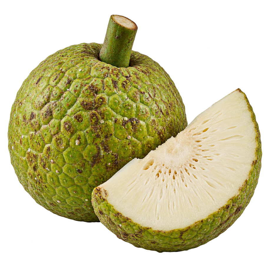 Fruta del pan