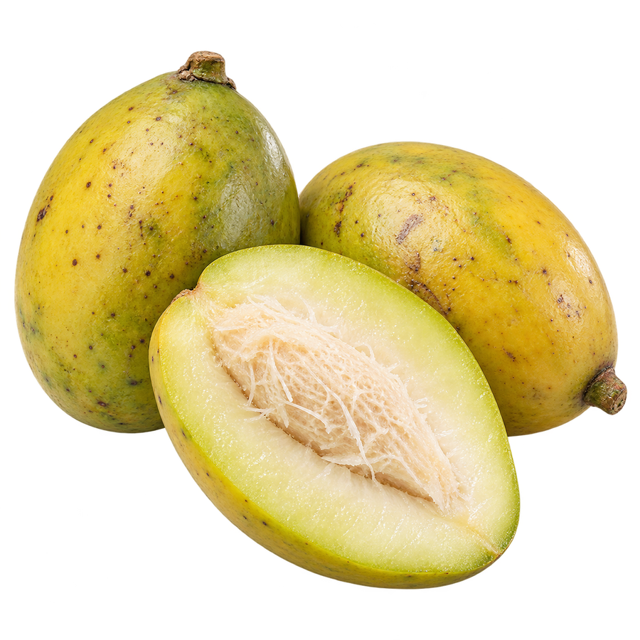 Jobo de la India (ambarella)