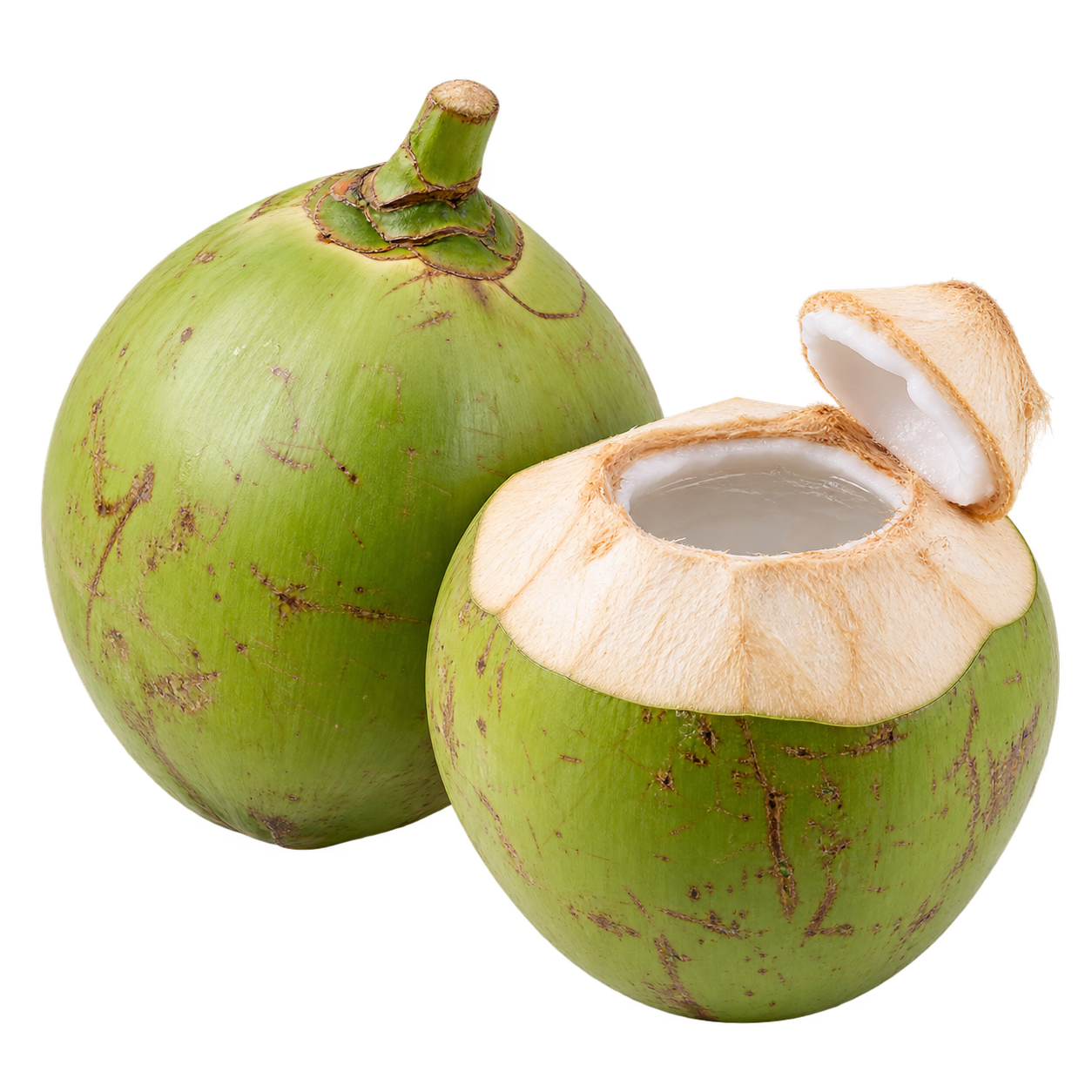 Water coconut